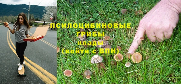 MDMA Няндома