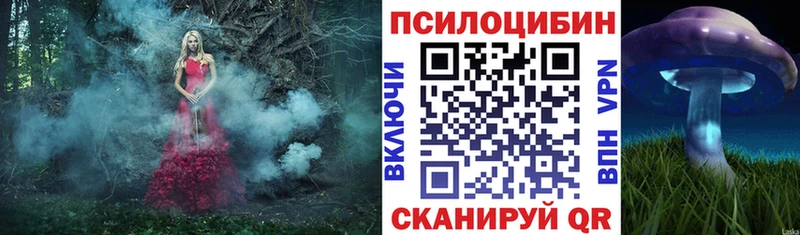 где купить наркотик  Арамиль  Галлюциногенные грибы GOLDEN TEACHER 